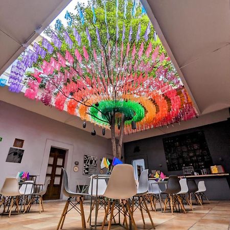 Bkl Hotel Oaxaca Ngoại thất bức ảnh