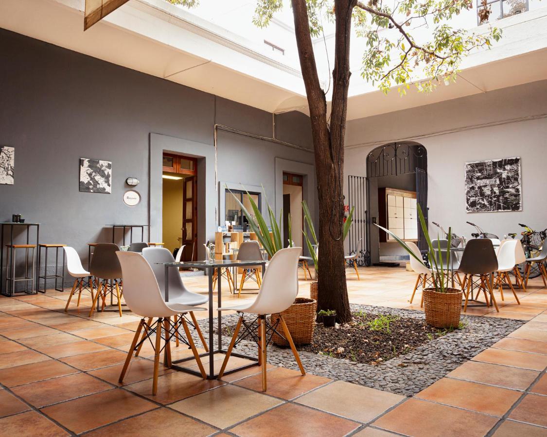 Bkl Hotel Oaxaca Ngoại thất bức ảnh