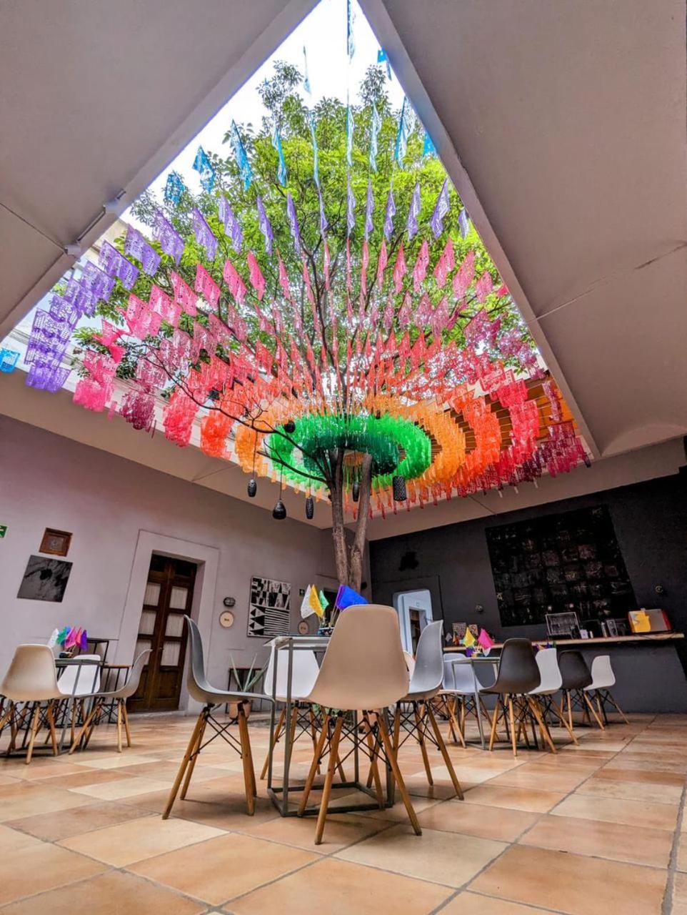Bkl Hotel Oaxaca Ngoại thất bức ảnh