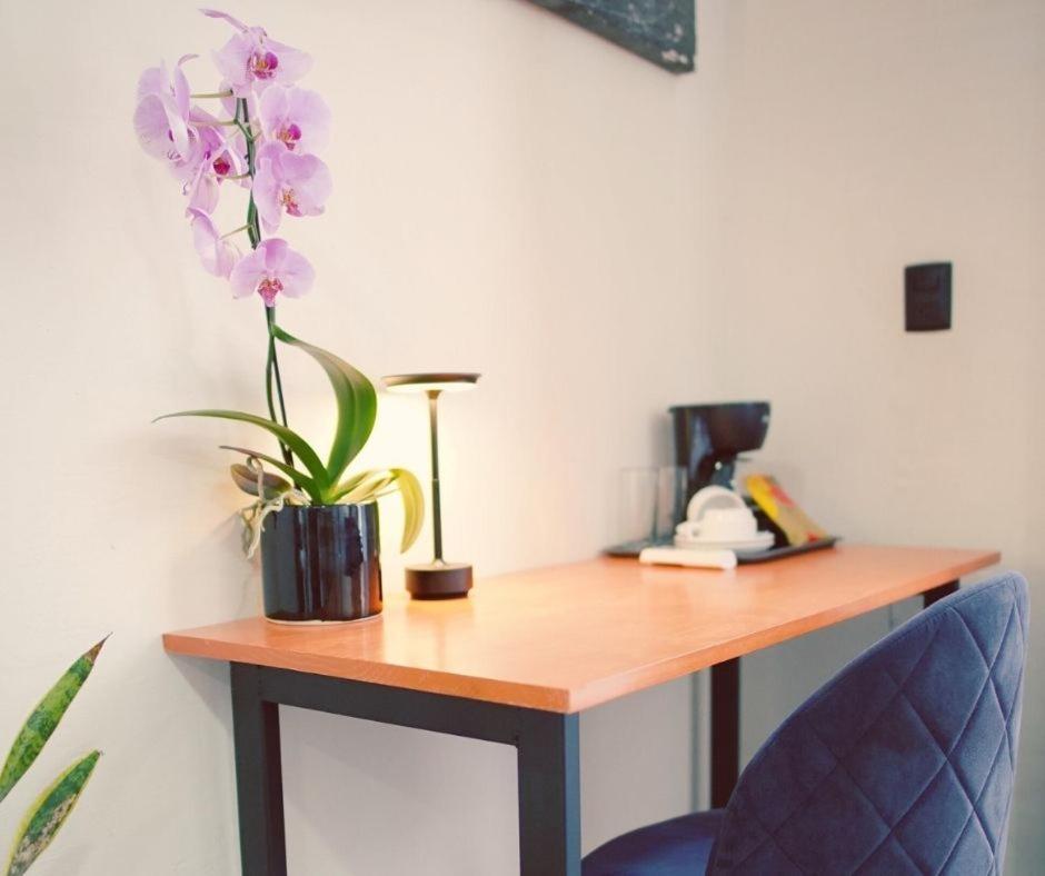 Bkl Hotel Oaxaca Ngoại thất bức ảnh